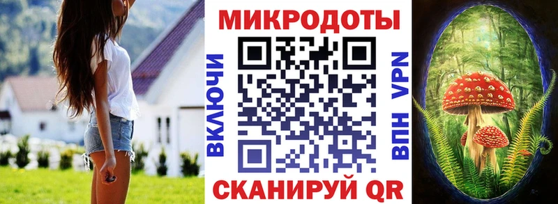 гидра зеркало  Сураж  Псилоцибиновые грибы Psilocybine cubensis 